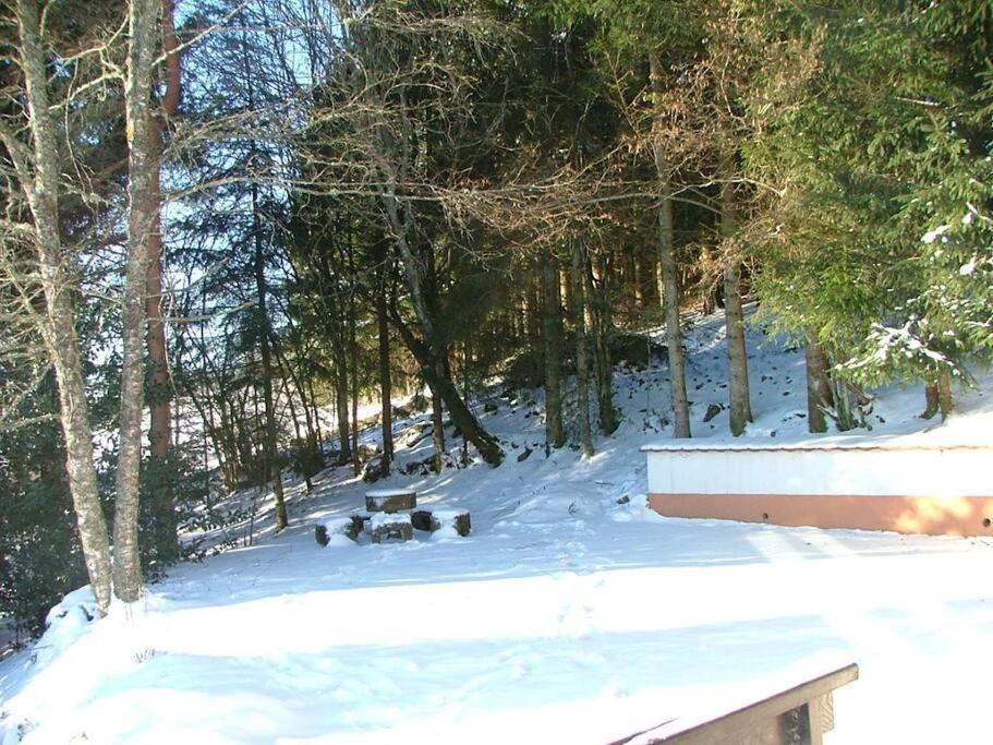 Maison D'Altitude Avec Vue Panoramique A Gérardmer Exterior photo